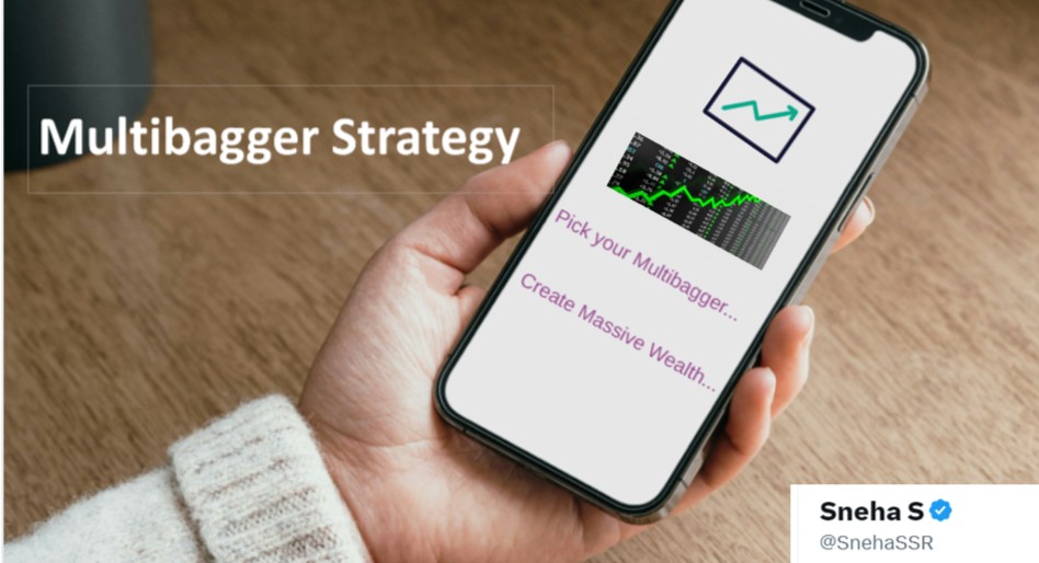 Multibagger Strategy